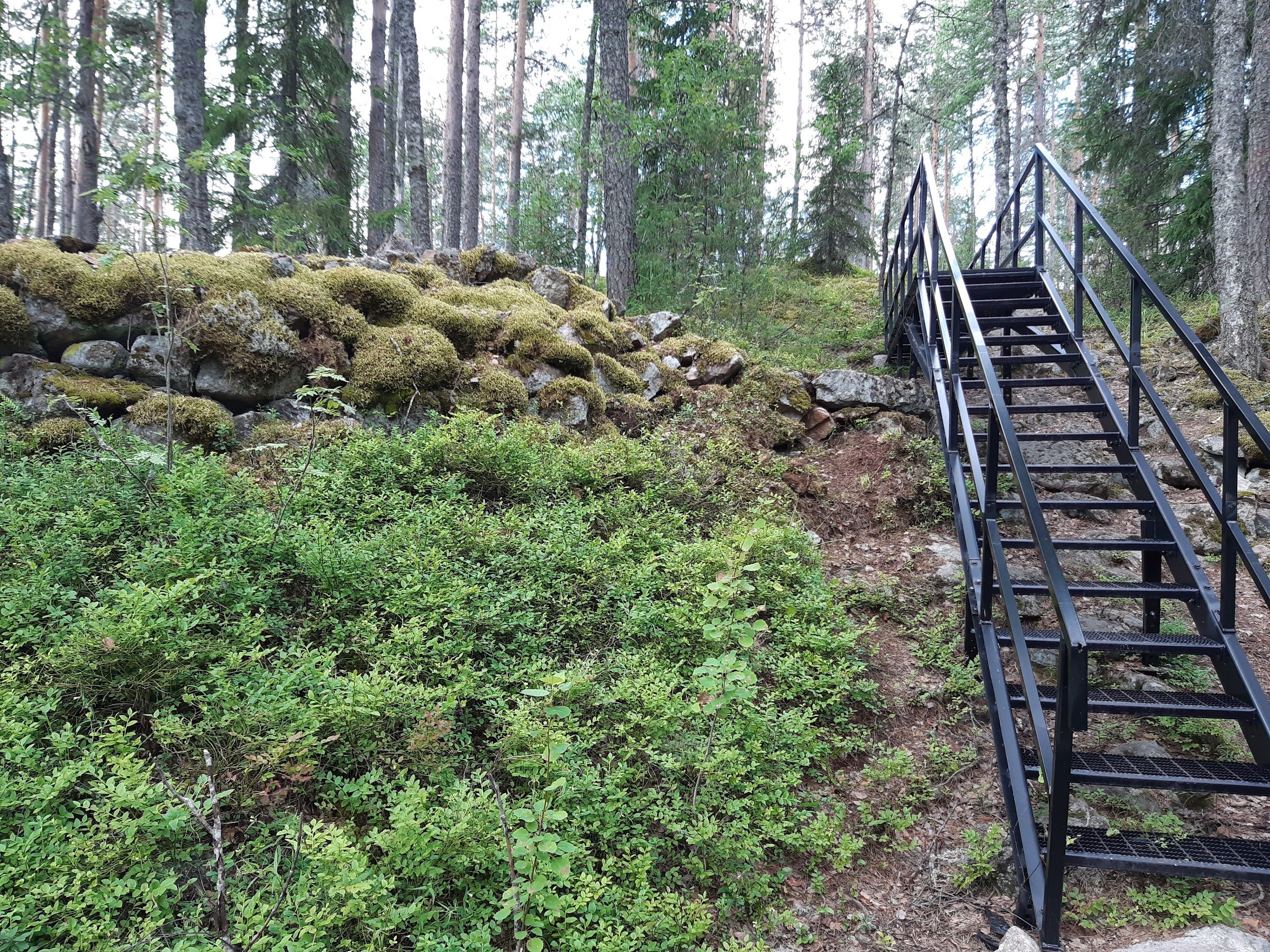 Pisamalahti Hill Fort (Pisamalahden linnavuori)